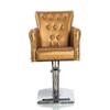 Beautynao Salon Chair Barber Chair Styling Beauty Chair Cutting Chair Salon Professional Home Salon (Gold) view 3