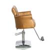 Beautynao Salon Chair Barber Chair Styling Beauty Chair Cutting Chair Salon Professional Home Salon (Gold) view 4
