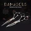 2 X Professional Premium Thinning Hair Scissors 6 Inches Extra Sharp Modeling Scissors Hairdressing Scissors for Thin Hair and Modeling Thin view 2