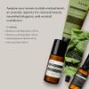 Aesop Body Care Essentials Kit - Geranium Leaf Body Balm (3.3 Fl Oz) + Geranium Leaf Body Scrub (6.1 Fl Oz) + Deodorant Roll-On (1.6) + Tame Hair Serum (2 Fl Oz) | Paraben, Cruelty-free & Vegan view 2