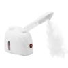Facial Steamer Skin Care Tools Face Sprayer Salon Spa Use Hot & Cold Spray Moisturizing Steaming Device Sauna Nanoscale Mist Beauty Machine Elitzia ETK33S view 1