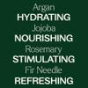 Plant Therapy Hair Therapy Thicker Beard, Beard Oil 30 mL (1 oz) Promotes Growth and Shine, Encourages Healthy Skin for a Beard that is Touchably Soft, Smooth, and Manageable view 4