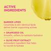 BYOMA Melting Balm Facial Cleanser - Buttery Soft Cleansing Balm for Skin Barrier Repair - Tri-Ceramide Face Wash for Sensitive Skin & All Skin Types - Deeply Hydrated Skin, No Oily Residue - 2.12 oz view 4