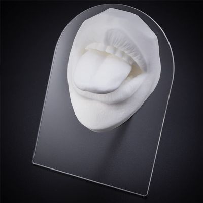 GatherTOOL 1pc Body Jewelry Silicone Ear Nose Model 1:1 Size Professional Practice Piercings Tools Earrings Ear Studs Display Can Be Reused (Color : Mouth-03)