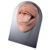 1pc Soft Silicone Face Model Displays Human Mouth/Nose/Ear/Tongue Model Simulation for Piercing Jewelry Display Teaching Tool (Color : OT14050-4) view 1