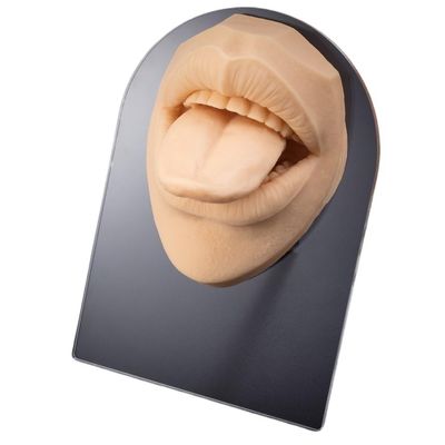 1pc Soft Silicone Face Model Displays Human Mouth/Nose/Ear/Tongue Model Simulation for Piercing Jewelry Display Teaching Tool (Color : OT14050-3)
