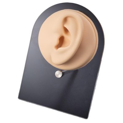 1pc Soft Silicone Face Model Displays Human Mouth/Nose/Ear/Tongue Model Simulation for Piercing Jewelry Display Teaching Tool (Color : OT14031-5)