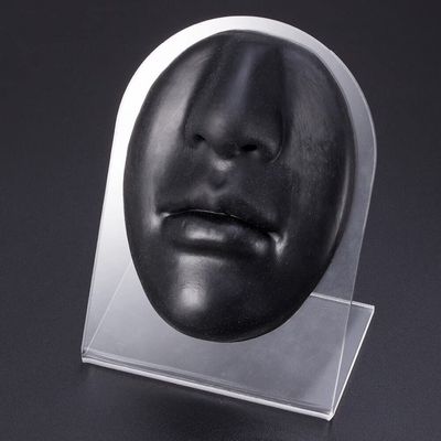 GatherTOOL 1pc Body Jewelry Silicone Ear Nose Model 1:1 Size Professional Practice Piercings Tools Earrings Ear Studs Display Can Be Reused (Color : Black face)