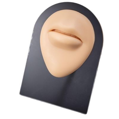 1pc Soft Silicone Face Model Displays Human Mouth/Nose/Ear/Tongue Model Simulation for Piercing Jewelry Display Teaching Tool (Color : OT14031-3)