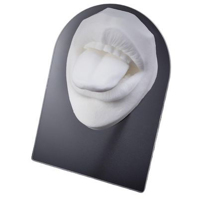 1pc Soft Silicone Face Model Displays Human Mouth/Nose/Ear/Tongue Model Simulation for Piercing Jewelry Display Teaching Tool (Color : OT14050-2)