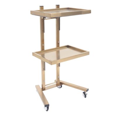 Salon Tray on Wheels with 2 Tiers, Tattoo Shop Collapsible Utility Carts Stainless Steel Salon Storage Stand, Foldable Gold/Silver Organizer with Wheels (Gold)