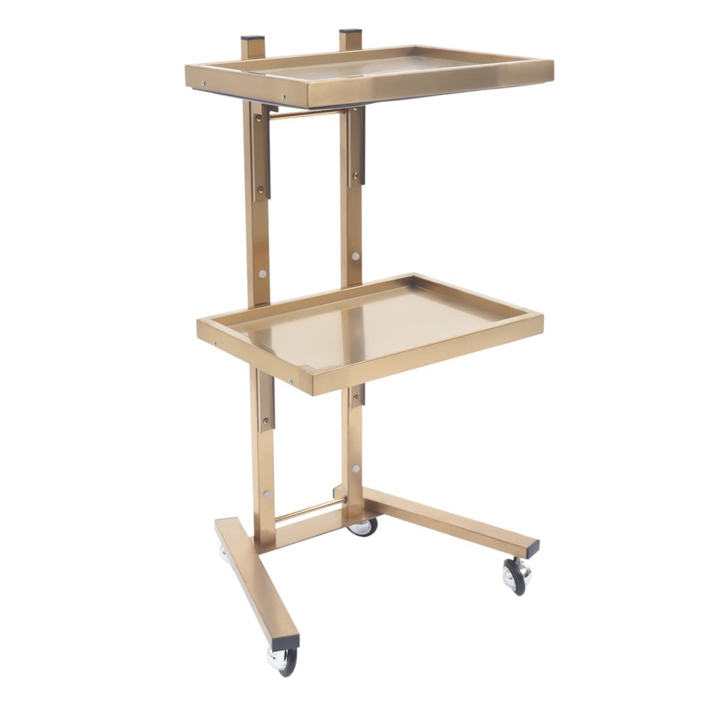 Salon Tray on Wheels with 2 Tiers, Tattoo Shop Collapsible Utility Carts Stainless Steel Salon Storage Stand, Foldable Gold/Silver Organizer with Wheels (Gold)