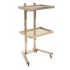 Salon Tray on Wheels with 2 Tiers, Tattoo Shop Collapsible Utility Carts Stainless Steel Salon Storage Stand, Foldable Gold/Silver Organizer with Wheels (Gold) view 1