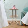 Salon Tray on Wheels with 2 Tiers, Tattoo Shop Collapsible Utility Carts Stainless Steel Salon Storage Stand, Foldable Gold/Silver Organizer with Wheels (Gold) view 4