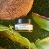 H. Honeycup Coconut Lip Scrub .5 oz, Natural Sugar Exfoliator to Gently Polish, Coconut Oil Moisturizes Skin, Aloe Soothes Skin, Self-Care Gift, Vegan & Cruelty-Free Skincare, Eco-Friendly Glass Jar view 2