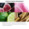 Fekkai Clean Stylers Prime Mist - 1.5 oz - Hydrates, Detangles, Controls Frizz & Offers Heat Protection - Free of Sulfates, Parabens, Phthalates - Vegan, Cruelty-Free view 3