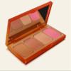 Elaluz by Camila Coelho Cali Queen Face Palette view 2