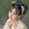 2 Pieces Chinese Hair Sticks,Chinese Hanfu Hair Pins Earrings Set,Long Tassel Hair Pins,Hair Sticks,Classical Style Handmade Hair Accessories view 4