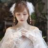 2 Pieces Fairy Feather Pearl Hairpin Hanfu Headdress, Korean Style Hairpins Pearl Feather Tassel Hair Side Clip for Women view 2