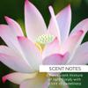 ROSE HIP LOTUS MILK BATH view 2