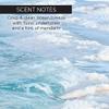 Kabosu Sea Salt Body Butter view 2