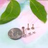 BodyJ4You 4PC Labret Tragus Cartilage 16G Studs - Piercing Aftercare Saline Cleanser view 2