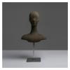 XPLKQXE Manikin Head Stan, Adjustable Height Wig Head and Stand, Female Styrofoam Foam Mannequin Holder for Helmet Jewelry Glasses Headband (Color : Brown) view 1