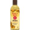 Burt's Bees Shea + Tropical Fruit Luminous Body Oil, Non-Greasy, Antioxidant Rich for Glowing Skin, Non-Irritating, Natural Origin Skin Care, 8 oz. view 1