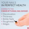 PODERM  TOENAIL RENEWAL BOOSTER  TEA TREE oil-serum - Restores Appearance of Discolored/Damaged Nails  Toe and Fingernail Repair  100% Natural Ingredients and Vegan  Express Renewal  Swiss Made view 3