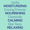 Plant Therapy Sleep Body Oil with Chamomile 4 oz Promotes a Good Night's Rest, Calms a Restless Mind & Body, Softens & Nourishes Skin view 4