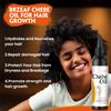 Brzeaf Natural Chebe Oil for Scalp Nourishment and Hair Growth (6Oz) - Authentic Chadian Chebe Powder, Moisturizing, Hair Breakage Prevention for All Hair Types view 4