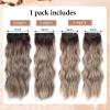 4PCS Thick Hairpieces Clip in Hair Extensions for Women Synthetic Clip in Long Wavy Hair Extension 20 Inch Double Weft Hairpieces Full Head For Women (20INCH, R6/88) view 2