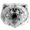 10Pcs The Roaring Bear Temporary Tattoo Women Tatoo Adhesive Animal Tattoo Stickers Waterproof Tattoo Sexy Men view 1