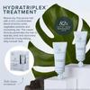 Awapuhi Wild Ginger by Paul Mitchell HydraTriplex Treatment (4-Pack), Ideal For Dry + Frizz-Prone Hair view 2