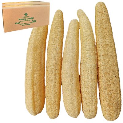 5 Pcs (14  16 Inches) Natural Loofah Sponge | Organic Loofah | Shower Loofah Exfoliating Body Scrubber | Bath for Loofah for Men and Women | (5 - Pack)