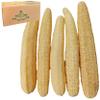5 Pcs (14  16 Inches) Natural Loofah Sponge | Organic Loofah | Shower Loofah Exfoliating Body Scrubber | Bath for Loofah for Men and Women | (5 - Pack) view 1