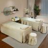 MIPOPS Microfiber Massage Table Sheets SPA Bed Cover Luxury 4-Piece Massage Table Sheet Sets Thicken Beauty Bedspreads Simple Salon Physiotherapy Bed Set Sheets(Brass,185x70cm(73x28inch)) view 2