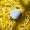 Ere Perez - Natural Arnica All-Cover Pot Concealer | Med-Full Coverage, Satin Finish, Calming, Nourishing | Vegan, Cruelty-Free, Clean Beauty (Dolce, 0.18 oz | 5 g) view 3