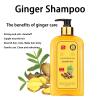 Ginaday Instant Ginger Hair Regrowth Shampoo, Ginger Anti-Fall Shampoo for Hair Growth, Anti-Hair Loss Hair Shampoo (1Pcs 16.91FL.oz/500ML) view 2