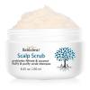 Bablabear Scalp Exfoliator Scrub,Itchy Scalp Treatment for Dandruff, No Sulfate Hair Scrub To Soothe a Dry, Flaky,Scalp,Removes Buildup,Clarifying Shampoo. view 1