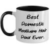 Best Domestic Medium Hair. Two Tone 11oz Mug, Domestic Medium Hair Cat Cup, Love Gifts For Domestic Medium Hair Cat from Friends, Funny domestic medium hair cat gifts humorous, Comical, Witty, view 1