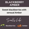 Black Canyon Blackberry Amber Scented Body Lotion with Lanolin and Jojoba Oil, 12 Oz view 2