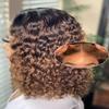 12 Inch Highlight Blonde Wear and Go Glueless Curly Bob Wig Human Hair Pre Plucked,Water Wave No Glue Bob Wigs,Pre cut HD Lace Front Wigs Human Hair Natural Hairline for Women 200% Density view 1