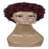 CcacHe Wigs Ms. European and Fashion Small African Wig Hair Wigs Short Volume Wig Synthetic Braid African Braid Wig Stage Hip hop view 1
