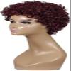 CcacHe Wigs Ms. European and Fashion Small African Wig Hair Wigs Short Volume Wig Synthetic Braid African Braid Wig Stage Hip hop view 2