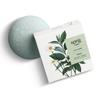 Sprig by Kohler Chamomile + Green Tea Bath Bomb, Hypoallergenic, Made with Natural Botanicals & Premium Skincare Ingredients (Shea Butter, Coconut Oil, & Kaolin Clay) to Calm and Sooth - Relax view 1