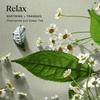 Sprig by Kohler Chamomile + Green Tea Bath Bomb, Hypoallergenic, Made with Natural Botanicals & Premium Skincare Ingredients (Shea Butter, Coconut Oil, & Kaolin Clay) to Calm and Sooth - Relax view 2
