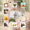 beatmodels Hand-Made Hydrating Body Butter & Face Cream, Nourish, Moisturize and Replenish Skin - Anti-Aging, Hydrating Essential Body Care - Rich Creamy Formula - 2 Ounces view 2