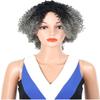 CcacHe Wigs European and woman Wig caps African Small Volume Gradient Grandmother Gray Wig Synthetic Cosplay Wig Pastel Colorful Costume Wig view 1