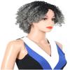 CcacHe Wigs European and woman Wig caps African Small Volume Gradient Grandmother Gray Wig Synthetic Cosplay Wig Pastel Colorful Costume Wig view 3